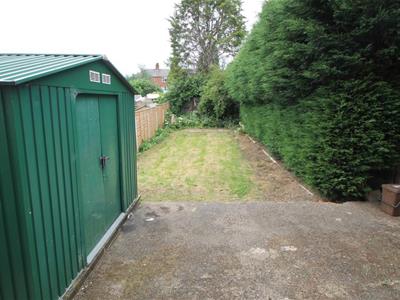 Picture 7